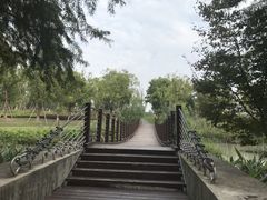 -九科绿洲
