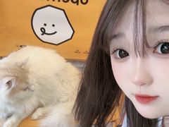 -平行世界·猫咖(首经贸店)