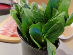 菠菜-渡娘火锅(大兴大悦春风里店)