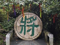 -苍山感通索道