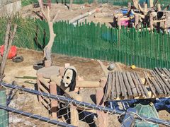 -沈阳森林动物园