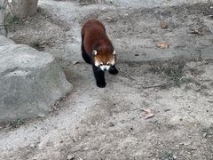 -上海野生动物园