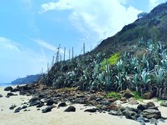 -漳州滨海火山岛自然生态风景区