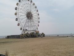 -碧海金沙