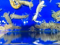 -船梆煮•蒸汽海鲜·生腌干蒸(五四广场店)