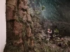 -遵义会议纪念馆