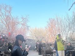 -春风习习
