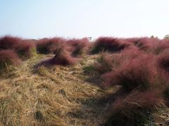 -映月湖中央公园