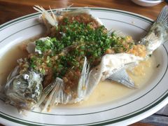 姜汁苏鲈-八仔大富楼·河鲜(西江店)