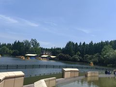 -东平国家森林公园