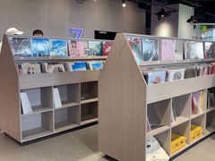 -浣熊唱片店(上海影城店)