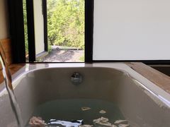 -乐领拈花溪·林涧食韵
