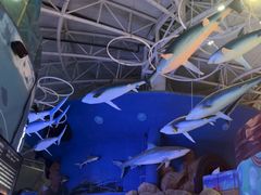 -烟台海昌鲸鲨海洋公园