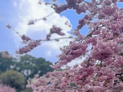 -南山植物园