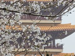 -牛首山文化旅游区