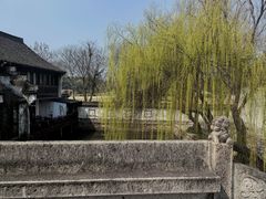 -鲁镇