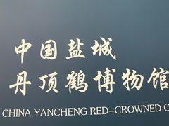 -盐城丹顶鹤湿地生态旅游区