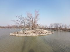 -盐城丹顶鹤湿地生态旅游区