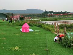 -光明小镇欢乐田园