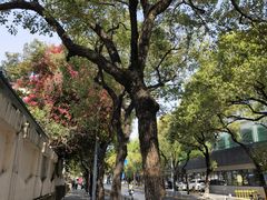 -LA MAISON公鸡和龙(蛇口店)