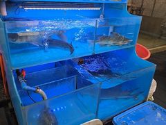 -韩妹鱼庄·泸定老字号(泸定店)