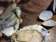 -土蚝·高压锅生蚝(百姓美食街店)