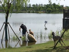 -上海长兴岛郊野公园