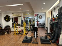 -温鉴良实用咏春拳