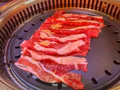 -杨记齐齐哈尔烤肉(五莲路店)