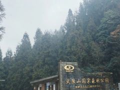 -武陵山森林公园