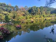 -深圳仙湖植物园