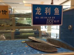 -双井轩(双井店)