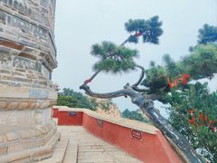 -天津盘山风景名胜区