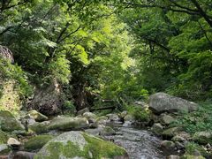 -三块石国家森林公园