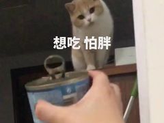 -非遗近水楼糕团(景德路店)