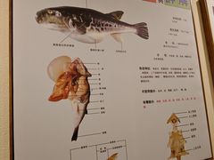 -天正河鲀·河豚亭(大连店)