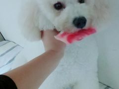 -沐沐家宠物(成寿寺店)