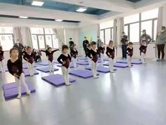 -西安小天鹅艺术团(金花路校区)