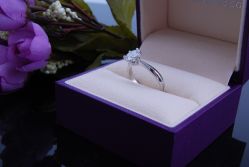 DSC_2494-威德钻石-克拉钻大本营(南京东路店)