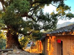 -杨家堂村