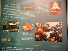 -台州博物馆