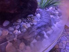 -上海海洋水族馆