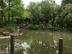 -瀛洲公园