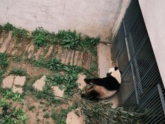 -黔灵山公园