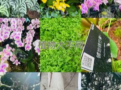 -上海辰山植物园