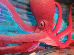 -青岛嘉年华主题乐园