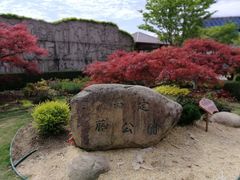 -嘉定紫藤园