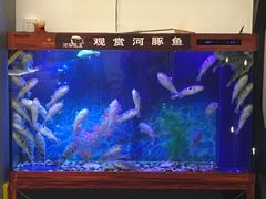 -肆月河豚·新淮扬(金融街店)