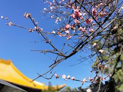 -大理文庙(大理古城)