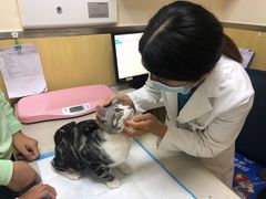 -宠颐生维康宠物医院(金丰店)